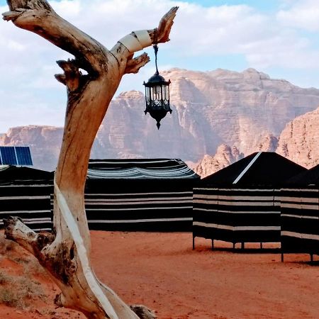 Desert Tree Camp&Tours Wadi Rum Luaran gambar