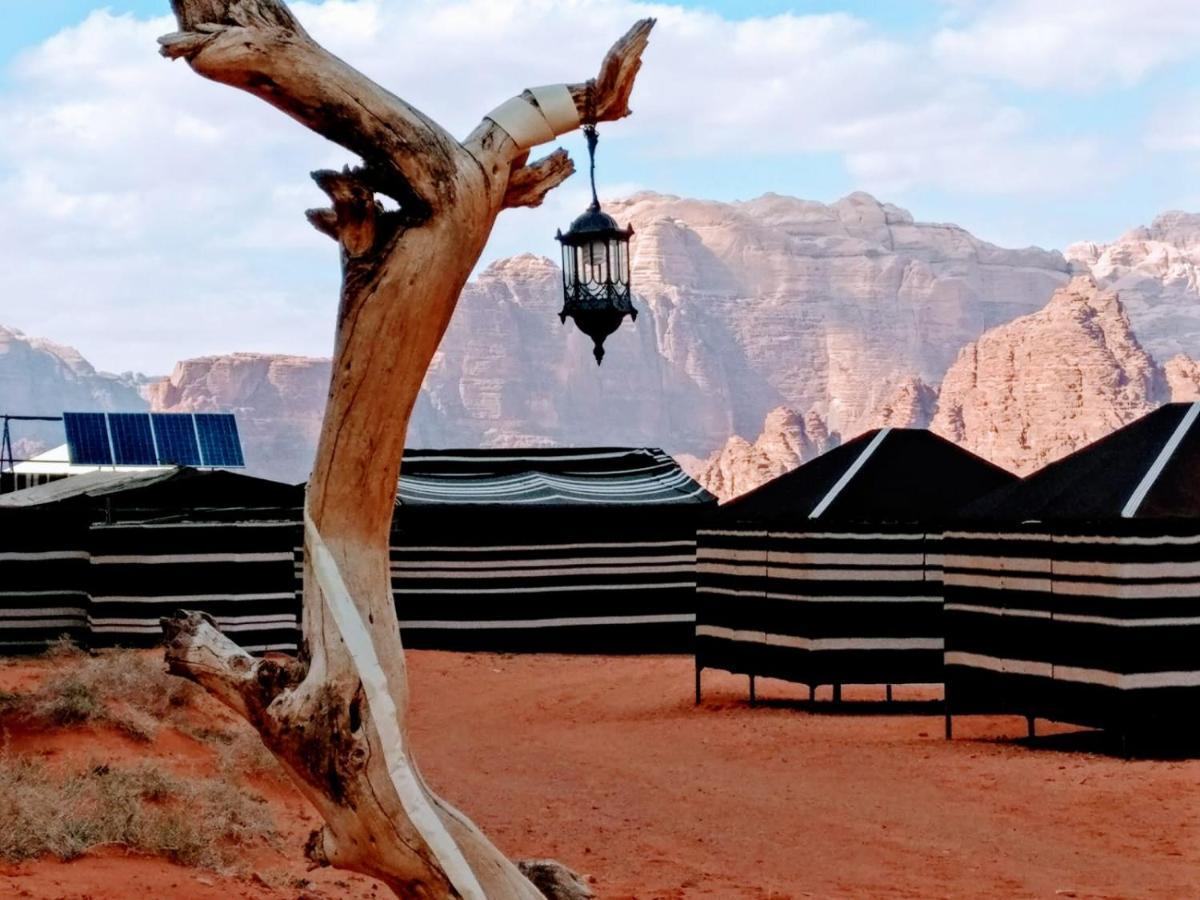 Desert Tree Camp&Tours Wadi Rum Luaran gambar