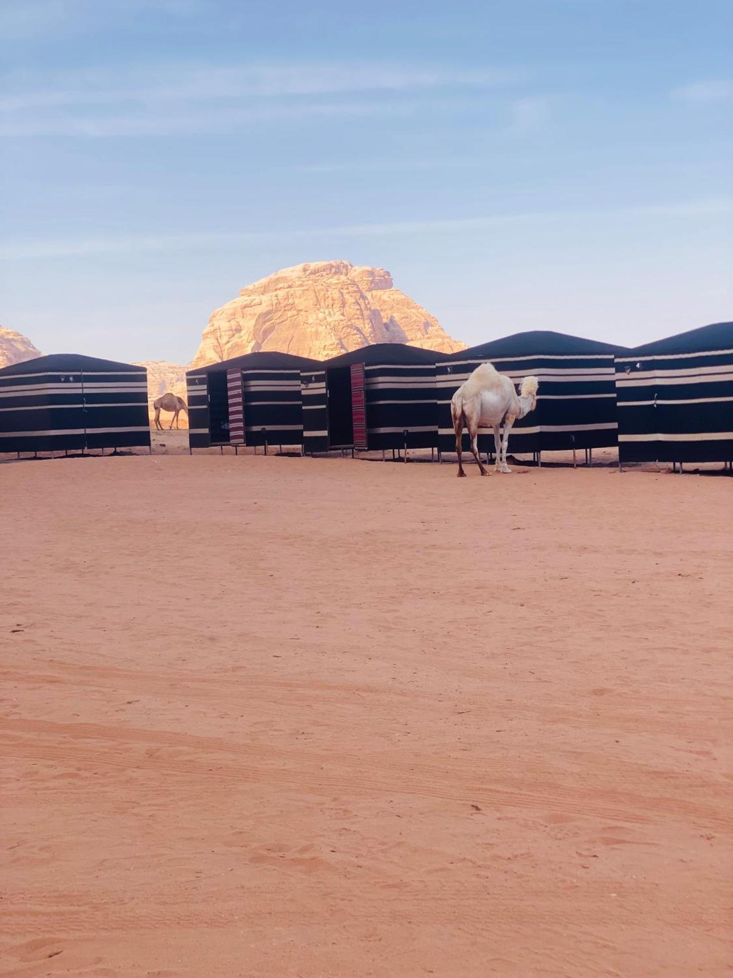 Desert Tree Camp&Tours Wadi Rum Luaran gambar